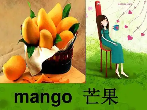 mango 芒果