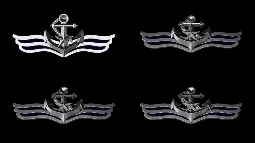 02海军胸标