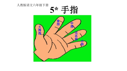 5手指课件24张ppt