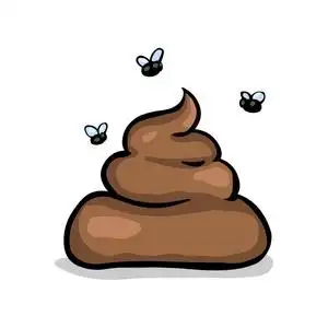矢量单卡通狗屎照片