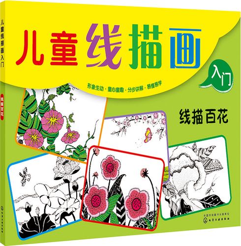 儿童线描画入门--线描百花
