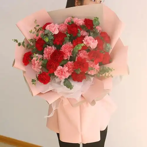 33枝红粉色康乃馨搭配花束