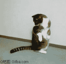 奥斯卡乃终于也卖腐拉嘛!