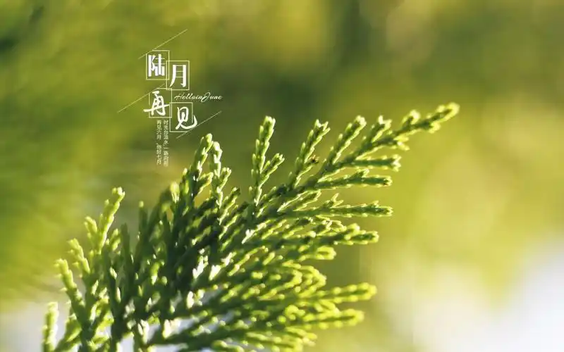 专属六月再见带字文案配图