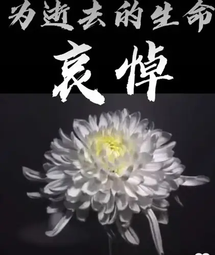英雄走好,逝者安息——深深缅怀在新冠肺炎疫情中逝去的每一个生命.