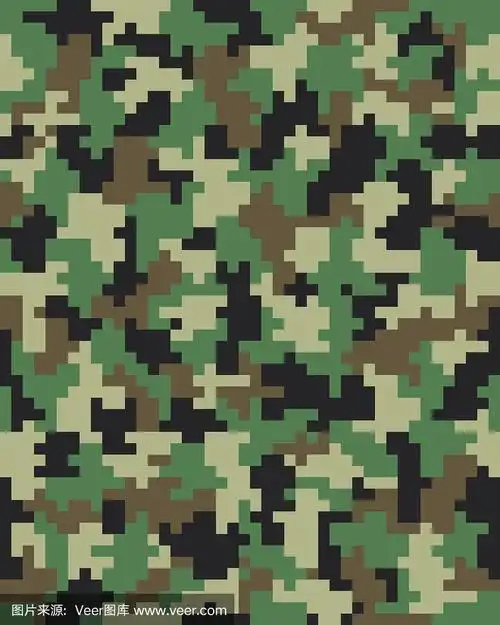 数码时尚迷彩