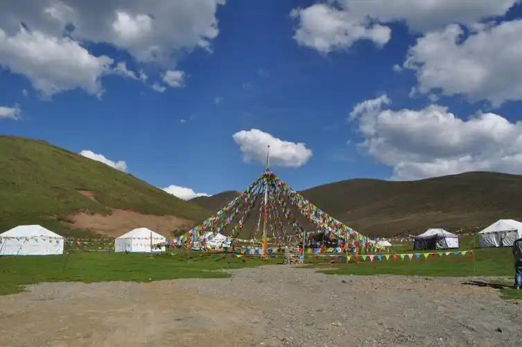 若尔盖大草原,九曲,花湖图片202,四川省旅游景点,风景名胜 - 蚂蜂窝