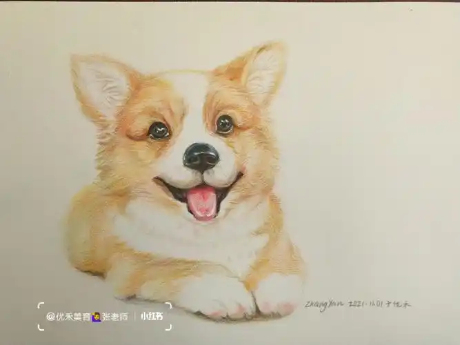 彩铅画小狗欢欢