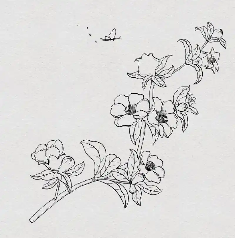 国风花卉-石榴花 花卉最担心的就是构图了,这幅是根据老师的构图来的.