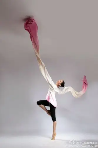 中国古典舞里技巧和技术技巧分类一样吗?