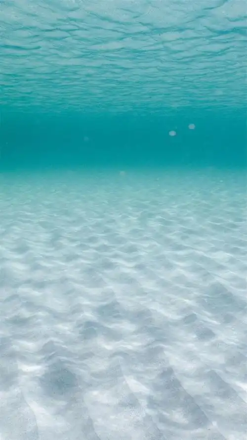 1080_1920竖版 竖屏