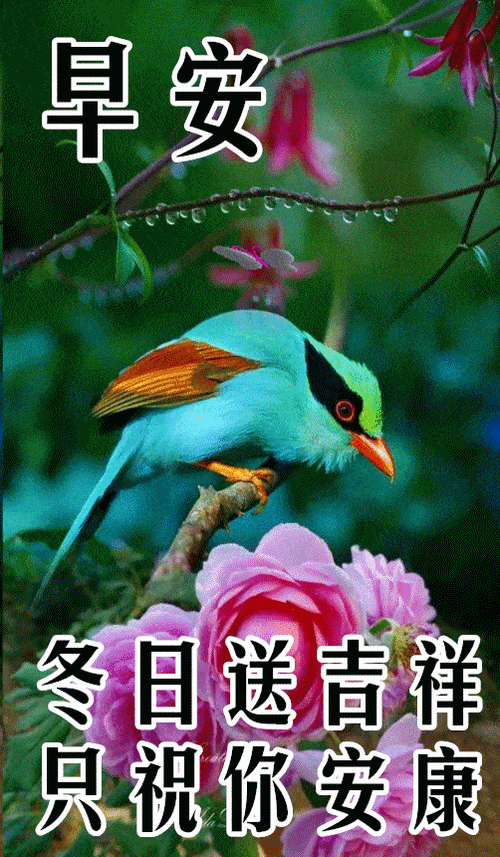 早安祝福美图早上好问候句子