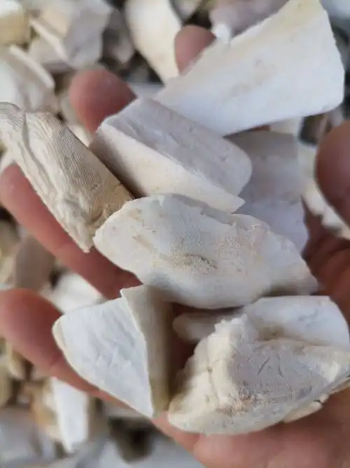 海螵蛸 乌贼骨 各种规格 含量高 2斤起包邮