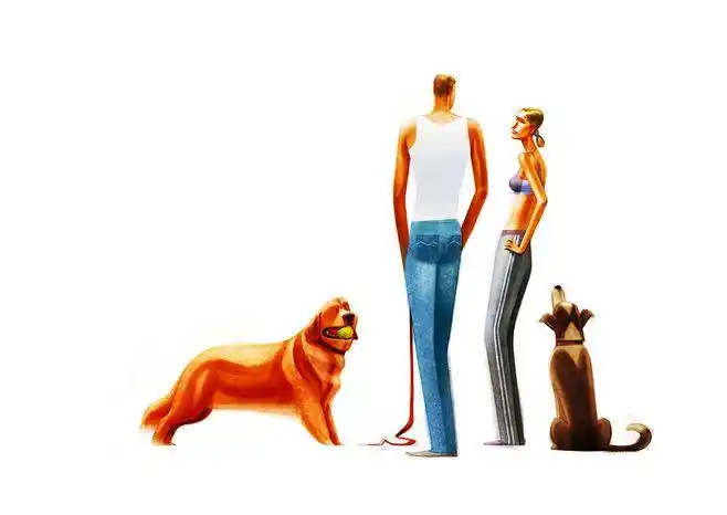 dogs and people : i love dogs and admire their walkers.