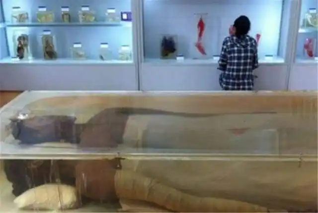 保存的曾金莲遗体