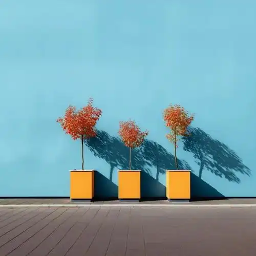 20张唯美的极简主义摄影作品极简之美