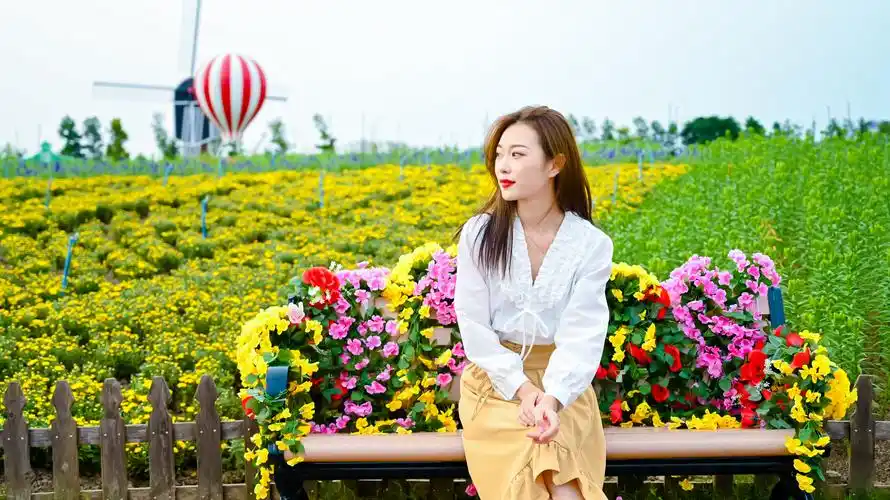 秋游指南,盐城大丰荷兰花海赏千亩花海,看《只有爱·戏剧幻城》