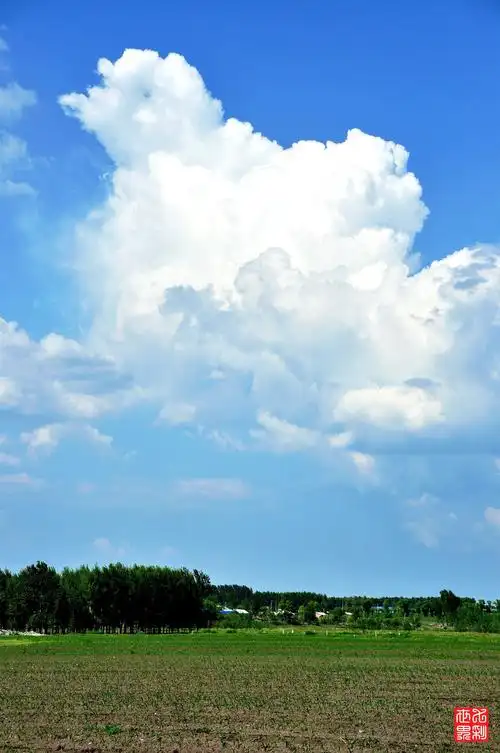 原图欣赏-太平洋摄影部落
