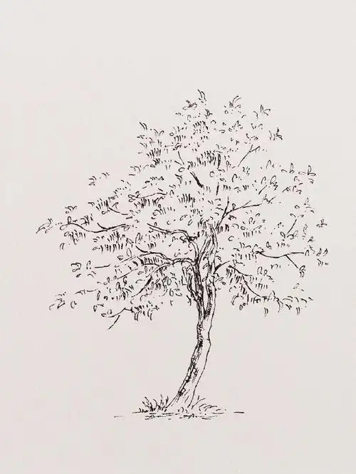 大树钢笔画线稿图片集,钢笔画树木线稿作品大全 - 高光网