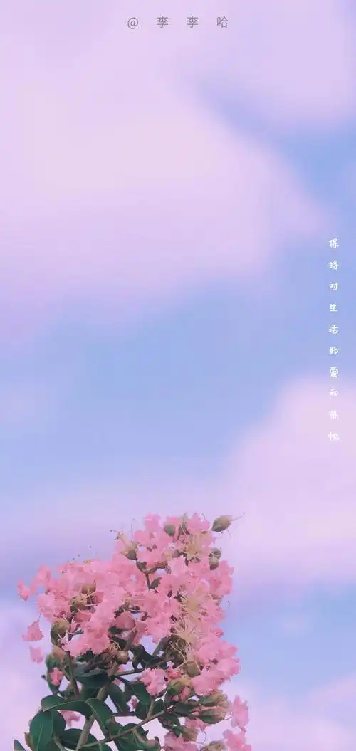 微信/qq聊天背景壁纸,嘿嘿嘿