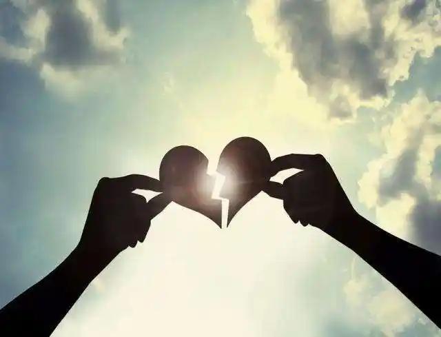 也不会在被你敷衍冷落之后,依旧为你付出真心