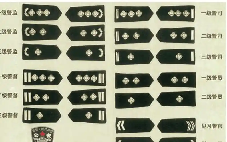 警察的肩章两杠三星 相当于什么职务?