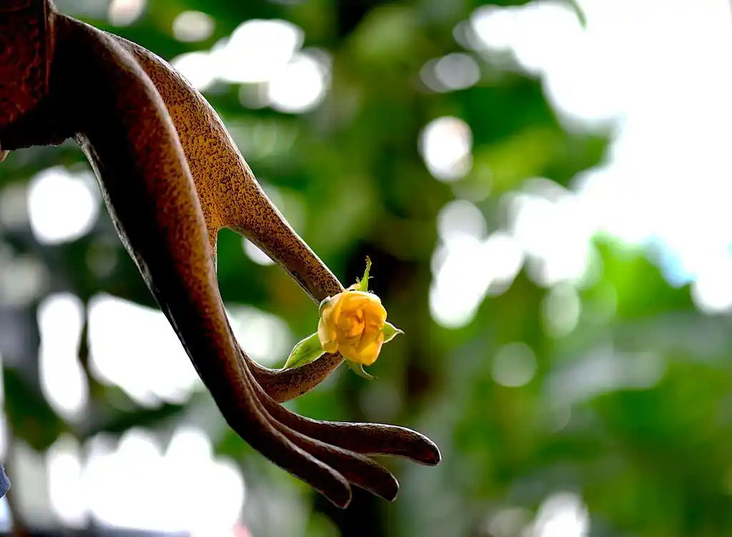 俗话说"五指不露缝,一生不受穷",是什么意思?