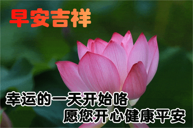 早上好问候美图早安问候语句