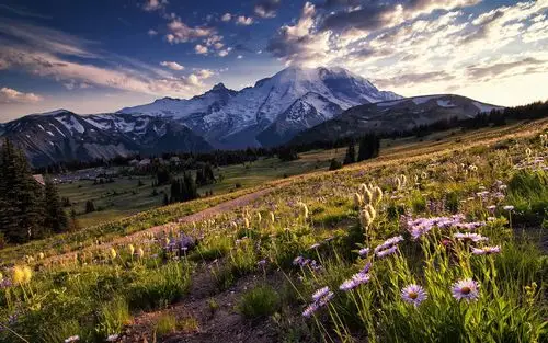 华盛顿优美风景