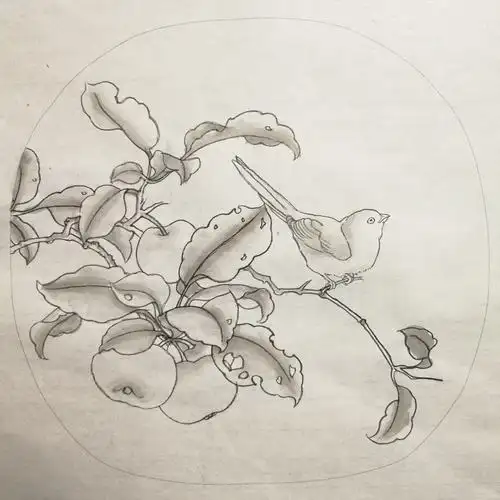 每艺书画|国画课程第三课《无花果》及工笔白描