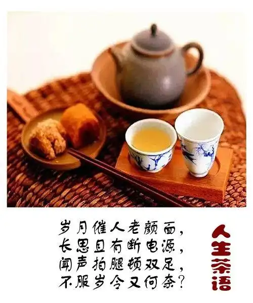 人生茶语 【原创】