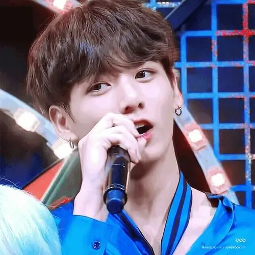 jin 闵玧其 suga 郑号锡 j-hope 朴智旻 jimin 金泰亨 v 田柾国 jung