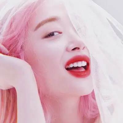 崔雪莉头像/林恩二传dd