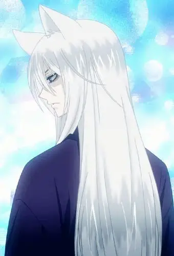 本命#傲娇狐狸巴卫