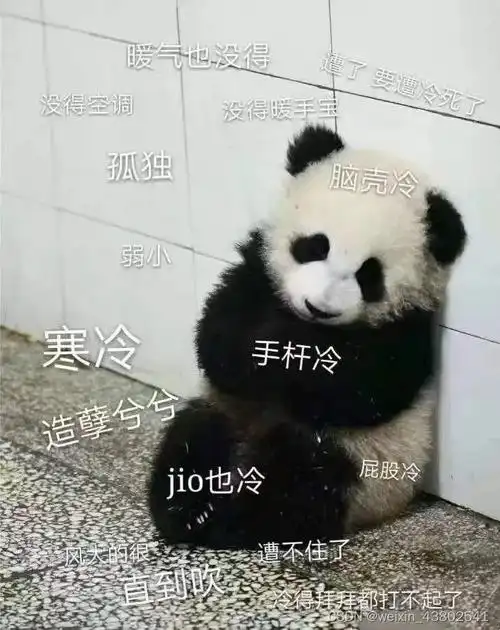 (成都的"湿冷魔法伤害"真不是吹的)上下班路上骑个自行车都冻手手切