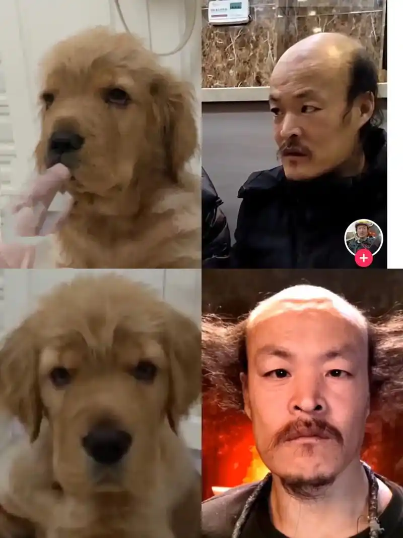 刘翔坤 这孩子怎么越长越像我二哥呢98 - 抖音