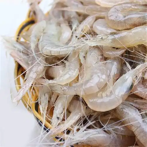 生鲜食品 河鲜类 太湖白虾 太湖白虾 商品参数 描述