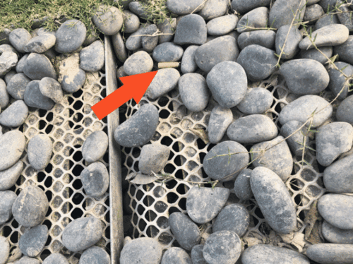 捡块石头怎么了?你违反了宿豫的"约定"!