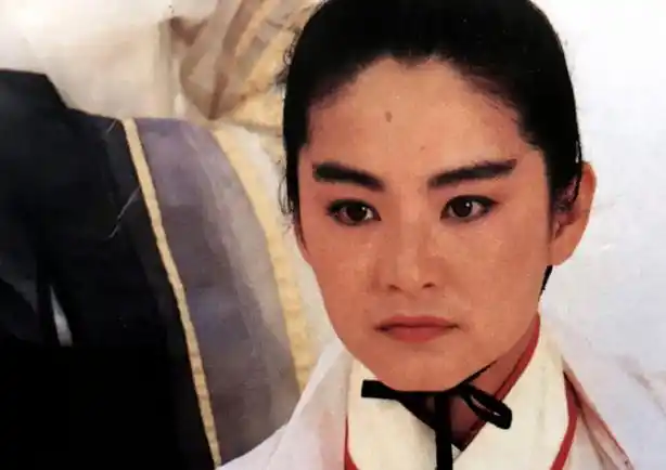 绝代双骄handsomesiblings(1992)