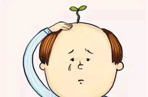 哈哈,秃顶原来是这么来的?