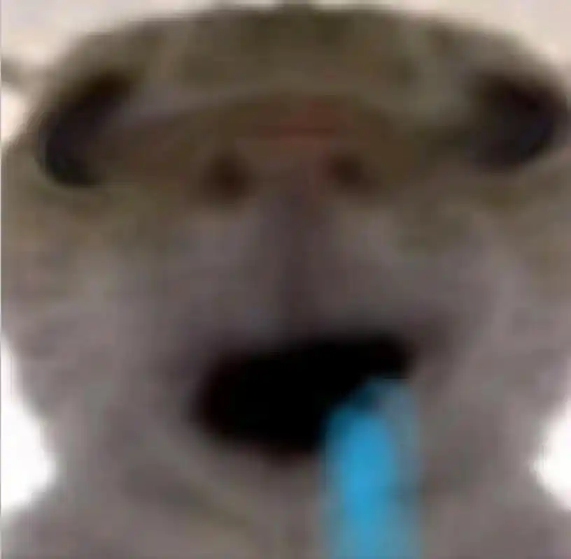 作者暂时只有这些其他的各位可以发在评论区#魔性猫咪表情包 - 抖音