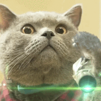 猫咪萌宠激光喵星人gif动图_动态图_表情包下载_soogif
