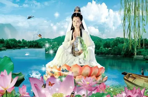 弥陀佛   十方诸佛 梦中漫天的星星  都是一朵朵莲花