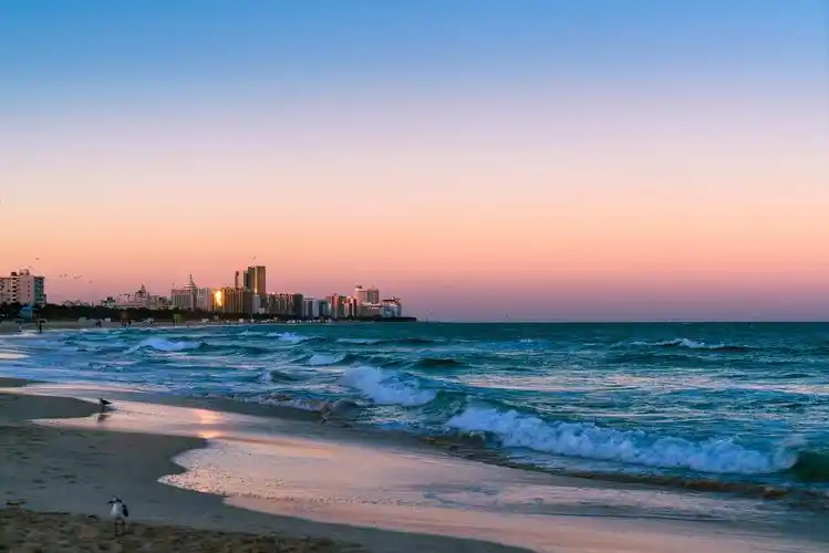 2021迈阿密海滩游玩攻略,如果只拍几只在天空飞翔的海.【去哪儿攻略】