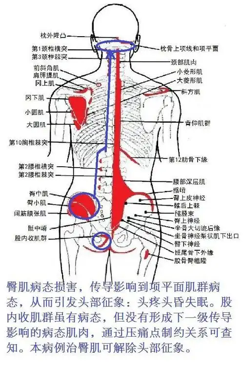 慢性疼痛和慢性疾病的病理特点简述