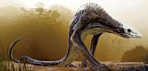 3大看点让《金刚:骷髅岛》成最爽电影!