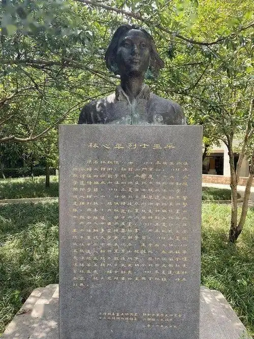 温州大学专题片《抗日英烈林心平》获全国"优秀作品奖"