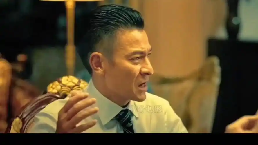 你知不知道整个香港都是我跟雷洛说的算"刘德华的《追龙》放到现在