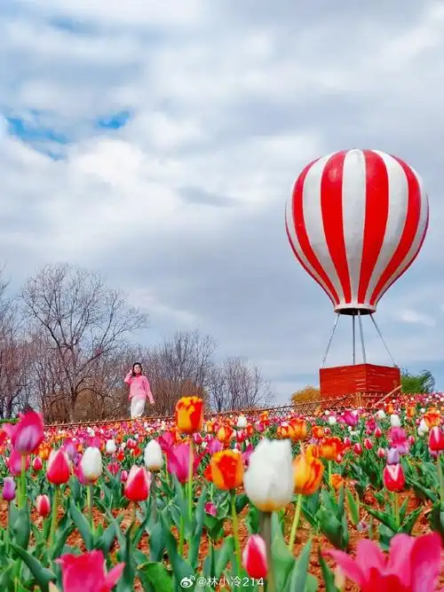 春游季##泰安旅游##泰山天颐湖 游玩好去处