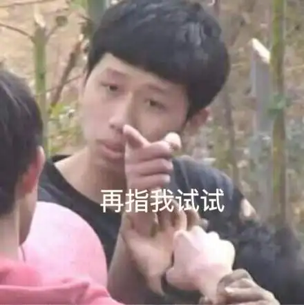 再指我试试 - 王境泽魔性指人表情包_王境泽_指人_斗图表情